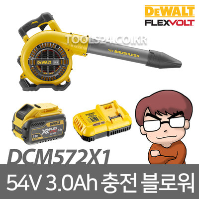 디월트 DCM572X1/54V 충전송풍기세트/배터리/충전기